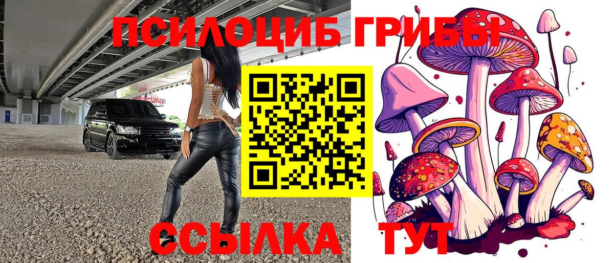 Брянск  Галлюциногенные грибы ЛСД  Вход с VPN 