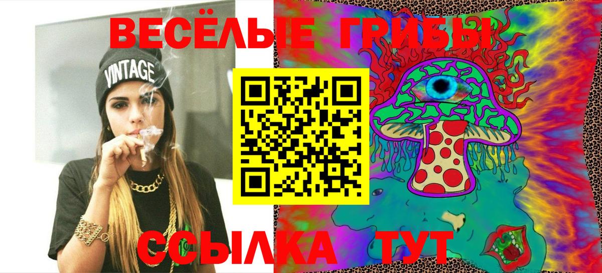 Галлюциногенные грибы Psilocybe Брянск