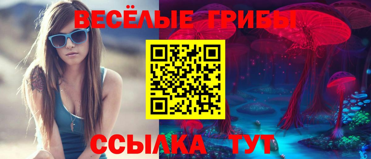Псилоцибиновые грибы Psilocybe Брянск