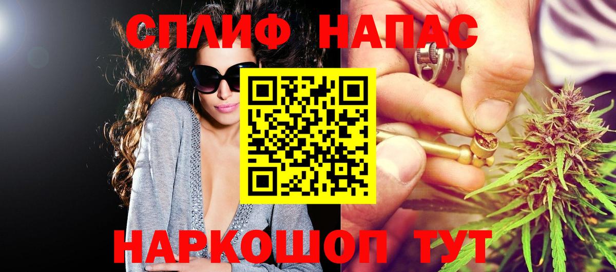 Каннабис сатива Брянск